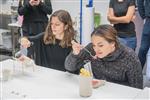 Fotografia de: Grau de Disseny per als Sistemes Alimentaris | Grau de Disseny per als Sistemes Alimentaris