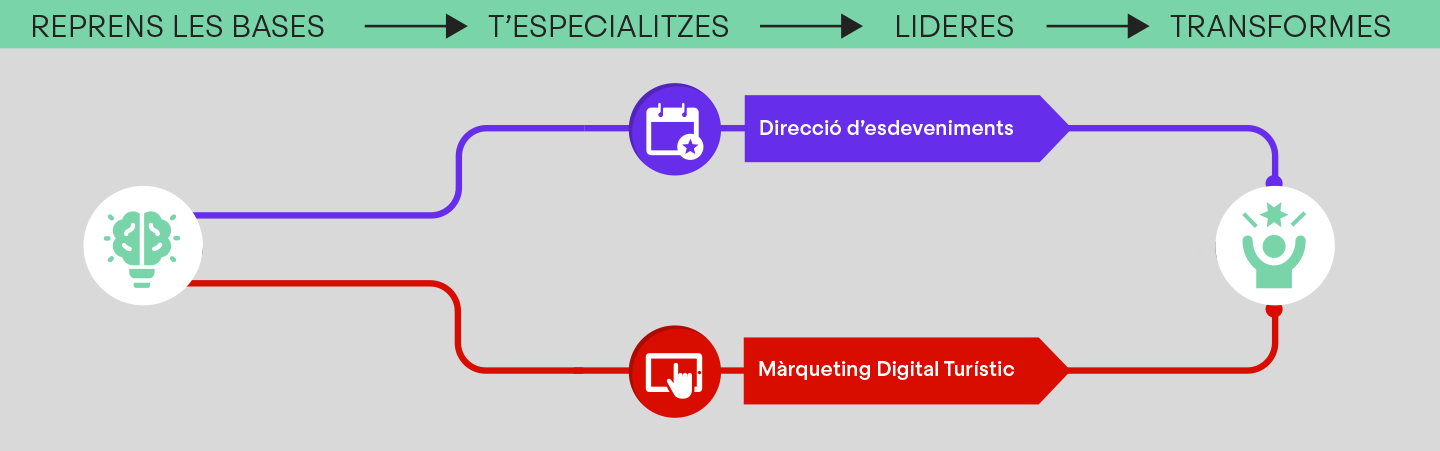 itinerario del master con sus especialidades