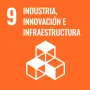 ODS 9: Industria, innovación e infraestructura